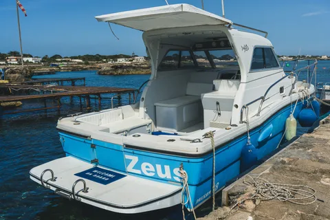 CHARTER GIORNALIERO DELLE ISOLE EGADI CON DEGUSTAZIONE A BORDO