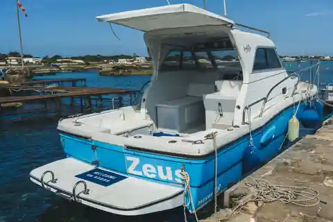 DAILY CHARTER OF THE EGADI ISLANDS WITH TASTING ON BOARD