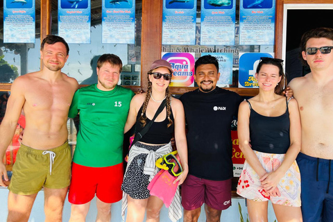 亭可马里：赏鲸和海军岛浮潜之旅