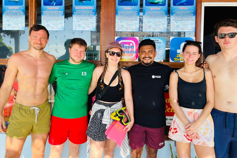 亭可马里：赏鲸和海军岛浮潜之旅