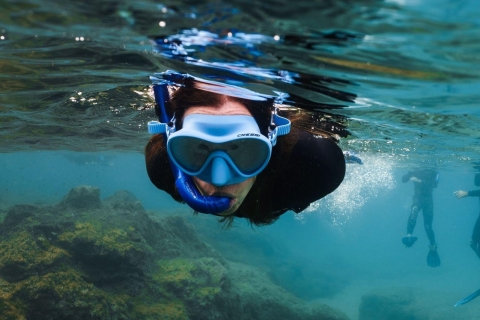 Lanzarote: Guided Snorkel Tour in Los Ajaches Natural Park Guided small-group Snorkeling tour.