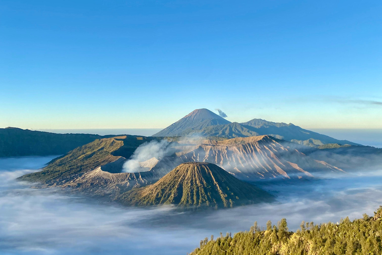 Yogyakarta: 3-Day Bromo & Ijen Volcano Tour to Bali Shared Group Tour without Hotels & Tickets (Budget Friendly)