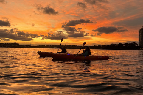 Sydney : Excursion en kayak au coucher du soleil sur le port de SydneySydney : Excursion en kayak au coucher du soleil sur le port de Sydney - Kayak simple