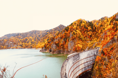 Sapporo: Hoheikyo Gorge, Hill of the Buddha & Buffet Tour