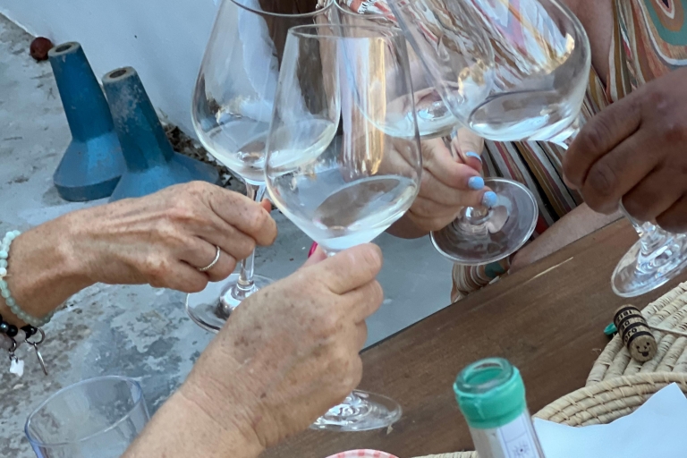 Ibiza traditionele wijnproeverij & cultuur tourPrivé wijnproeverij