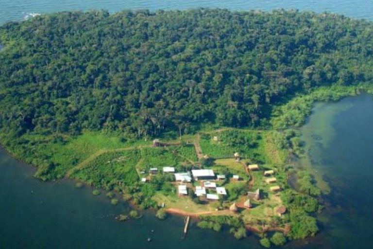 From Kampala: Ngamba Island Chimpanzee Sanctuary Tour From ENTEBBE: Ngamba Island Chimpanzee Sanctuary Tour