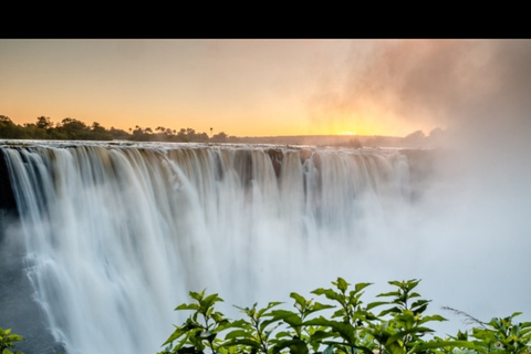 Victoria Falls: Guided Tour with Big Tree & Market Visit