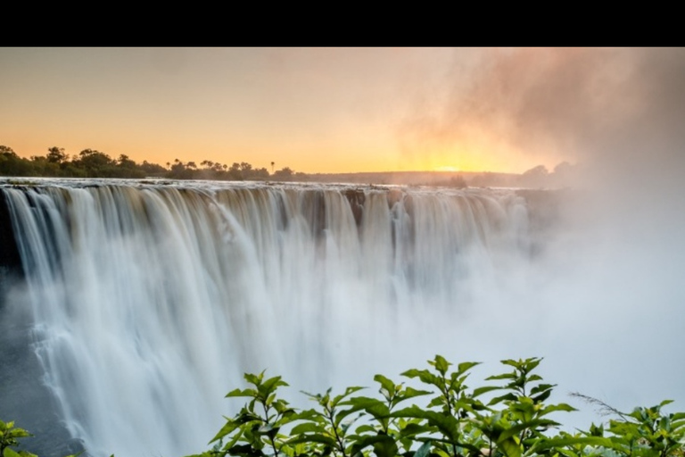 Victoria Falls: Guided Tour with Big Tree & Market Visit