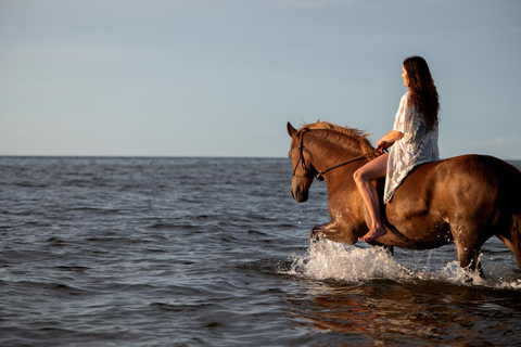 Menorca: Horseback Ride to Cala Fustam Beach and Swim