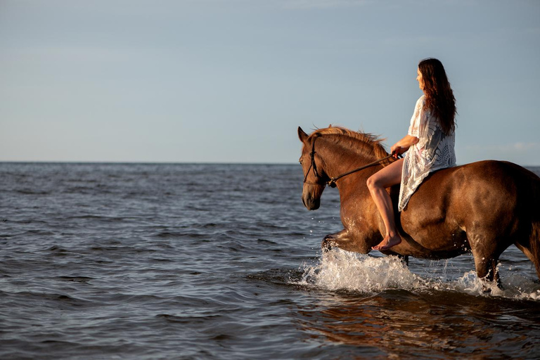 Menorca: Horseback Ride to Cala Fustam Beach and Swim