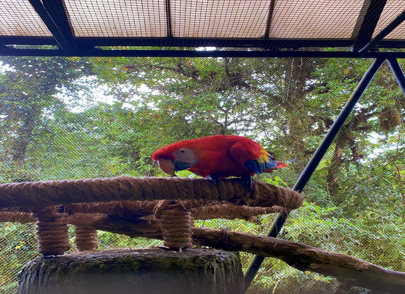 La Paz Waterfall Gardens dagsbillet