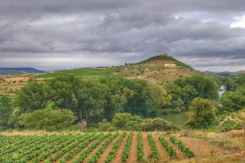 RIOJA: WINE TOUR WITH A WINERY OWNER