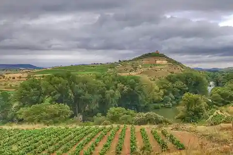 RIOJA: WINE TOUR WITH A WINERY OWNER