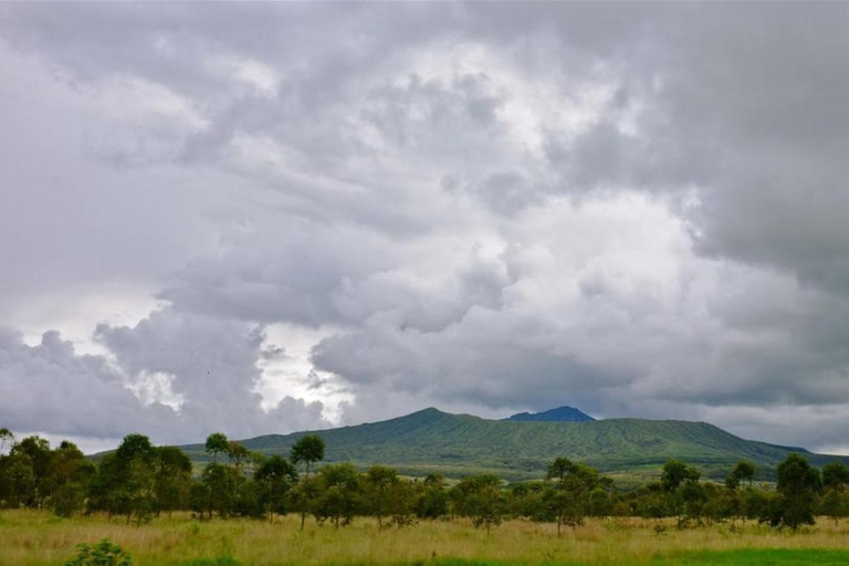 Von Nairobi: 2-tägige Aberdare-Nationalpark-Safari