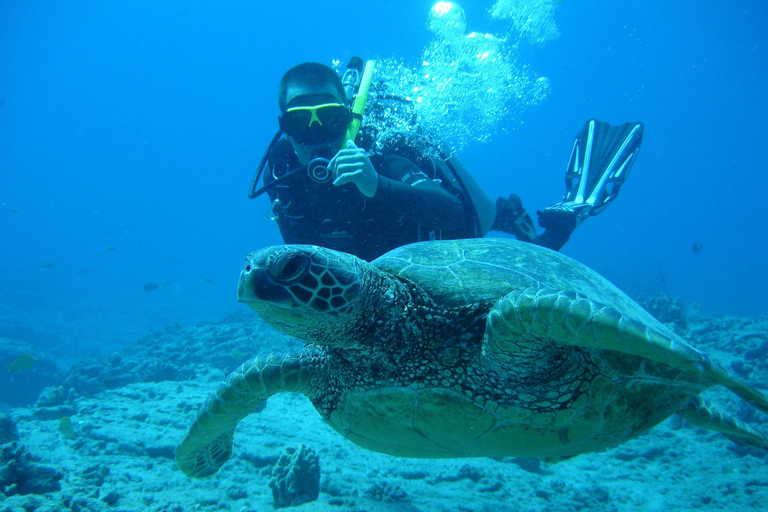 Fethiye: Daily Scuba Diving Experience w/ Hotel Pick-up