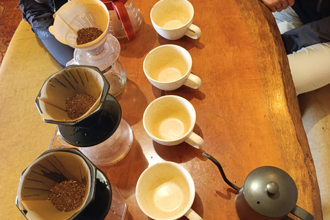 Cusco: Specialty Coffee Tasting-Sensory Experience (2 Hours)