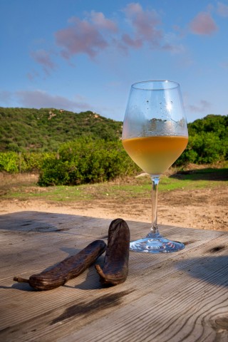 Visit Wine tour and lunch or dinner at our vineyard in Villasimius, South Sardinia