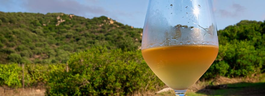 Visite des vignobles et déjeuner ou dîner dans nos vignobles