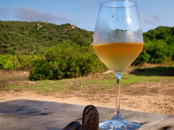 Wine tour and lunch or dinner at our vineyard