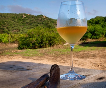 Tour del vino e pranzo o cena nel nostro vigneto