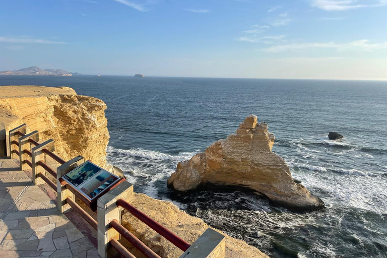 PREMIUM TREKKING GOLDEN SHADES