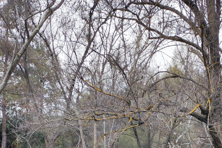 Paphos: Troodos Mountains Villages Tour with Wine Tasting