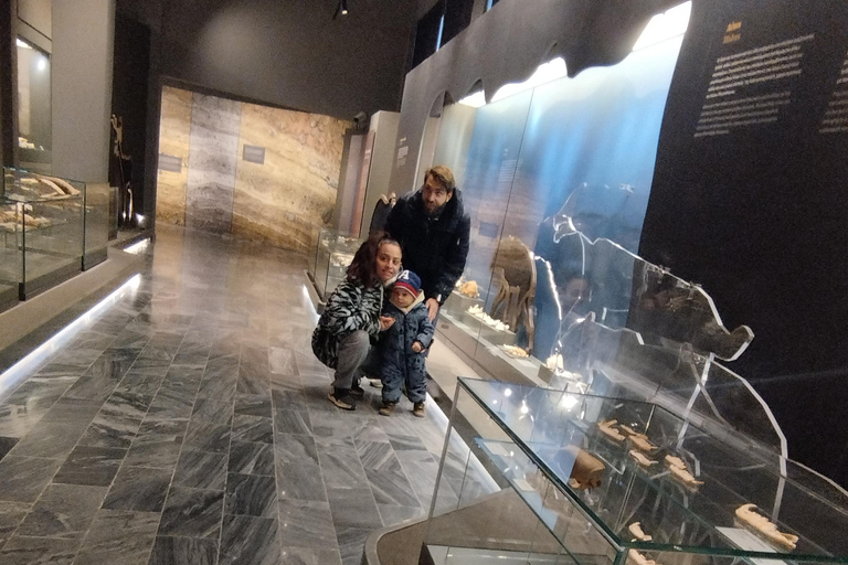 Thessaloniki: Petralona Cave & Beach Private Day Trip