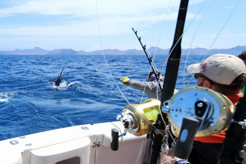 Vanuit Funchal : Boottocht op groot wild vissenHalfdaagse tour tot 10 personen