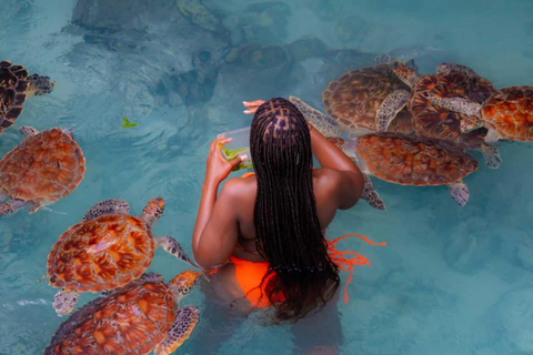 Zanzibar holiday tour: Jozani, Salaam cave, Paje & The rock Private tour with hotel pick-up and drop-off