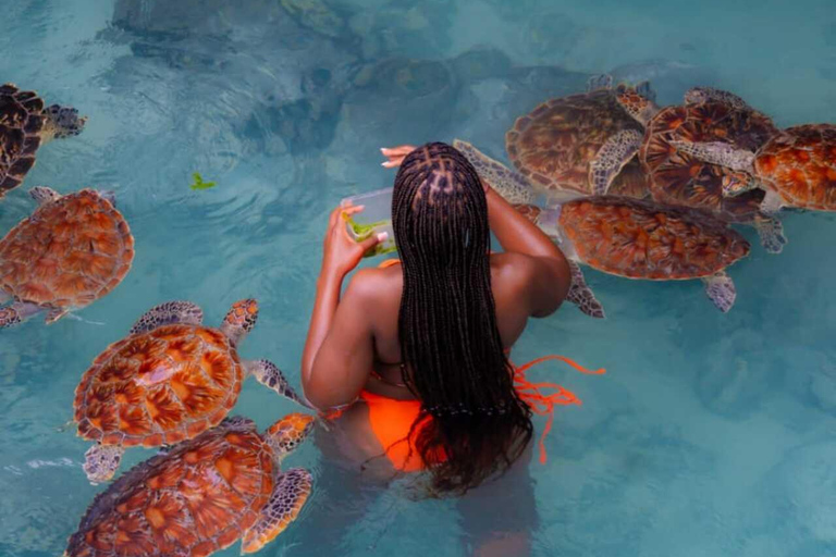 Zanzibar holiday tour: Jozani, Salaam cave, Paje & The rock Private tour with hotel pick-up and drop-off