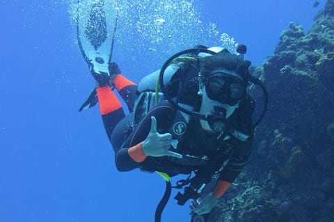 Dubai: VIP Private Scuba Dive with Free Hotel Transfer