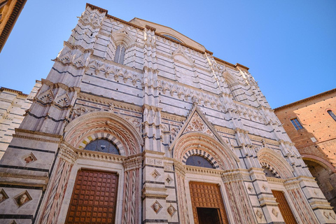 Excursion d&#039;une journée à Pise, Sienne et San Gimignano depuis FlorenceVisite avec transport uniquement