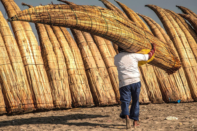 Maravilhas do litoral de Pimentel e experiência na fazenda de avestruzes