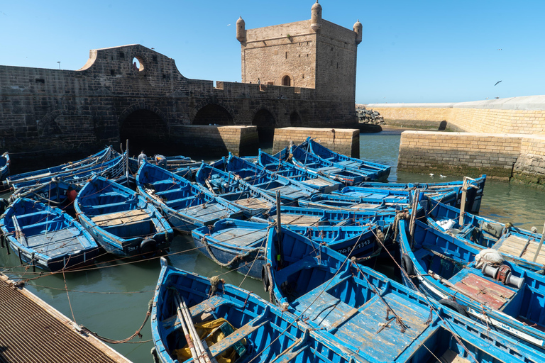 From Marrakech: Essaouira Day Trip with Beach & Medina Essaouira Small Group Day Trip