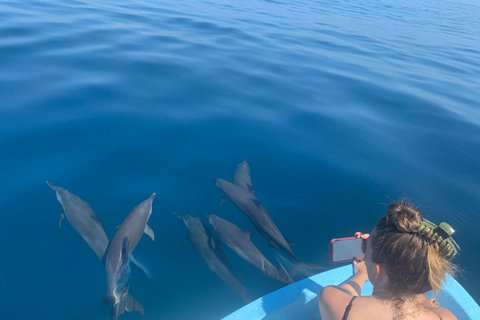 Puerto Escondido : tour en bateau pour voir les dauphins et la vie marineVisite privée