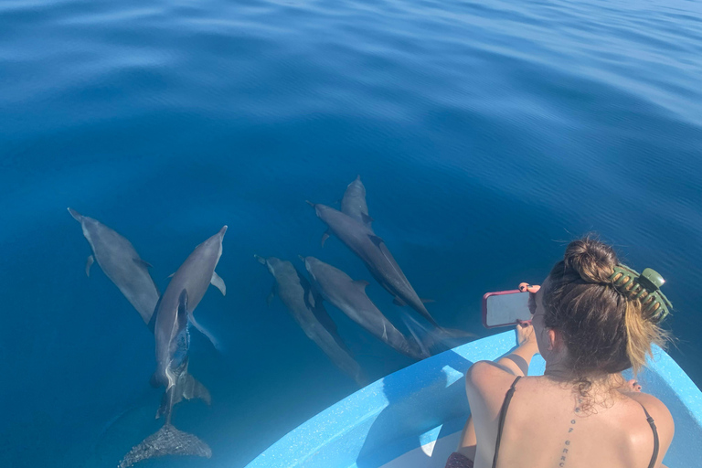 Puerto Escondido: Bootstour zu Delfinen und MeerestierenPrivate Tour