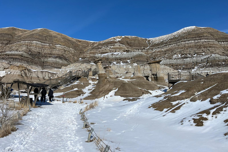 From Calgary: Drumheller Dinosaur Valley Full-Day Tour