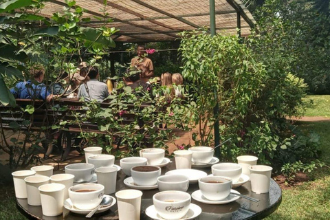 Tour della fattoria del caffè (Fairview) da Nairobi