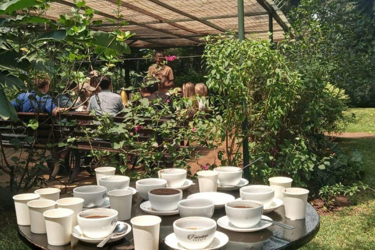 Tour della fattoria del caffè (Fairview) da Nairobi
