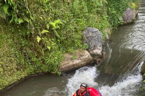 Ubud: tour in quad, rafting e piscina a sfioroTour in quad tandem, rafting e piscina a sfioro