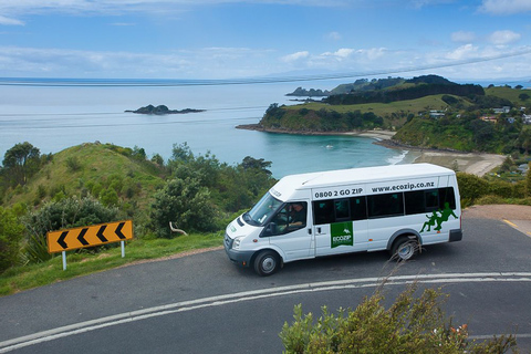 Isla Waiheke: tirolina y aventura en el bosque nativoCon servicio de recogida y regreso