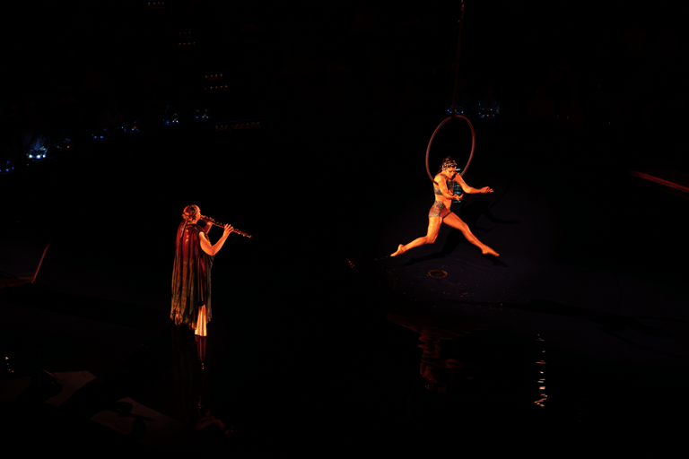 Cirque du Soleil LUDÕ — Vallarta Premium Balcony Experience: Show, Champagne, and Canapés