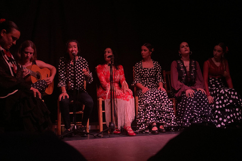 Valência Flamenco Show Tablao La Reina