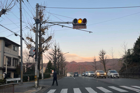 E-Bike Tour in Kyoto with Asuka, Japanese graduate student