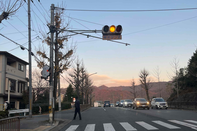 E-Bike Tour in Kyoto with Asuka, Japanese graduate student