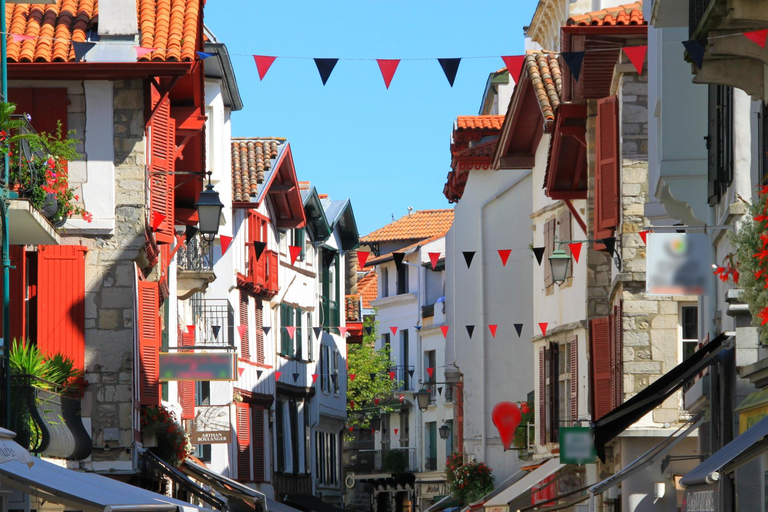 Lyon oude stad hoogtepunten en geschiedenis privé wandeltour2 uur: Rondleiding door de oude stad