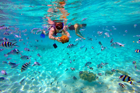 Ile aux Cerfs Speedboat Trip with Pickup and BBQ Lunch