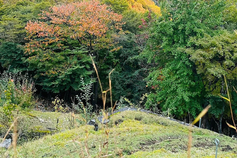 Tokyo: 5-Day Private Tour to Hiroshima with Transport