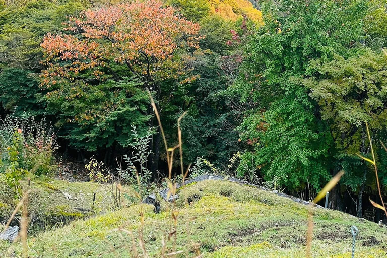 Tokyo: 5-Day Private Tour to Hiroshima with Transport