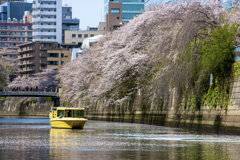 Tokyo: Cherry Blossom River Cruise on Private Boat (Private Boat) 75min Cruise from Tennōzu Pier
